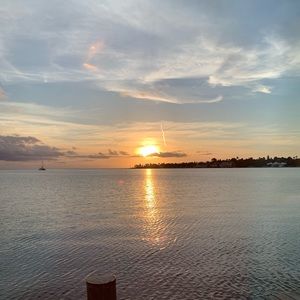 Meet your Posher, Lucy